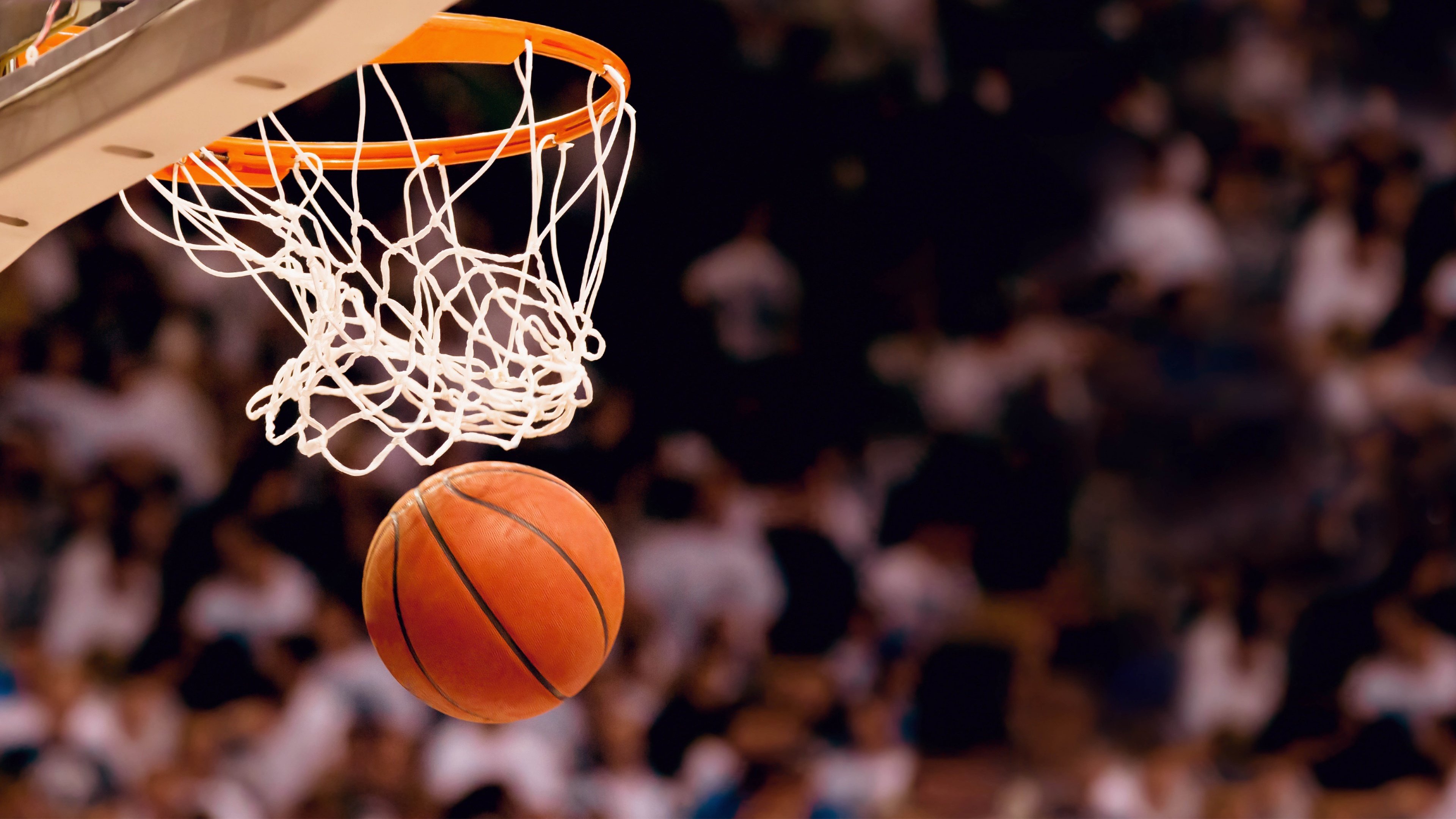 乐鱼（中国）体育官方网站-NBA总冠军赔率更新，凯尔特人跃居榜首